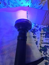 Dipman Roy review photo