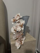 Tarryn Brooke Bunworth review photo