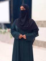 Ayesha Farheen review photo