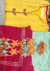 Pallavi Mishra review photo