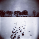 Stef S. review photo