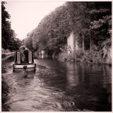 Dave W. review photo