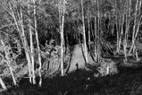 Maksvelas review photo
