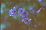 Clare S. review photo