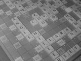 Mark T. review photo