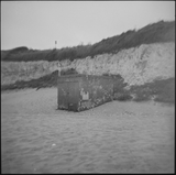 N.P. review photo