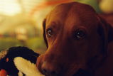 Charlie R. review photo