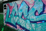 Yant review photo