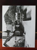 N.W. review photo