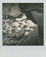 J. review photo