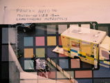 d.s. review photo