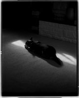 Jake P. review photo