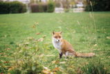 Richard S. review photo