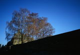 l. review photo