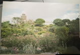 el j. review photo