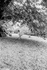 K.F. review photo