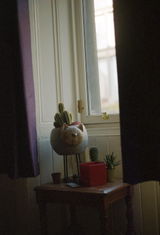 Stuart B. review photo