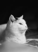 Will review photo