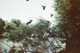 G.M. review photo