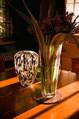 matthewc review photo
