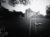 A.B. review photo
