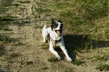 Aleksandra Z. review photo