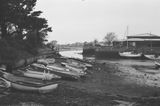 James B. review photo