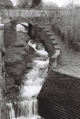 Adam M. review photo