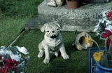 Nigel K. review photo