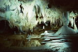 Merry P. review photo
