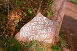Steve G. review photo