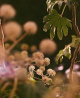Martin L. review photo