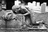 Stephen S. review photo