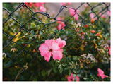 Roxanne B. review photo