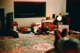 Merry P. review photo