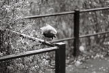 Mike review photo