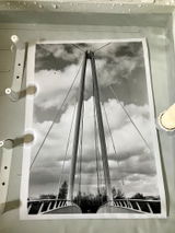 Lee S. review photo