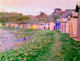 M C. review photo