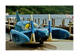 Neil S. review photo