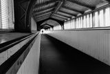 Jed P. review photo