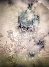Chris B. review photo