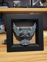 Steven review photo