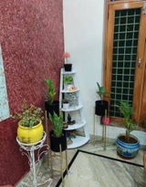 Divya Bansal review photo