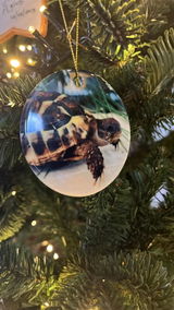 christmas ornament review photo