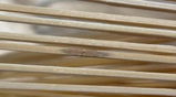 Laurence B. review photo
