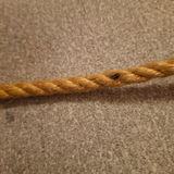 Z. review photo