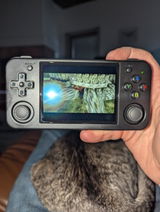 Jason Morris 428 review photo