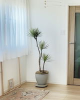 匿名 review photo