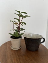匿名 review photo