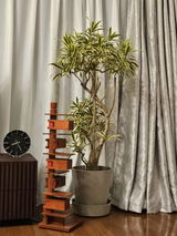 匿名 review photo